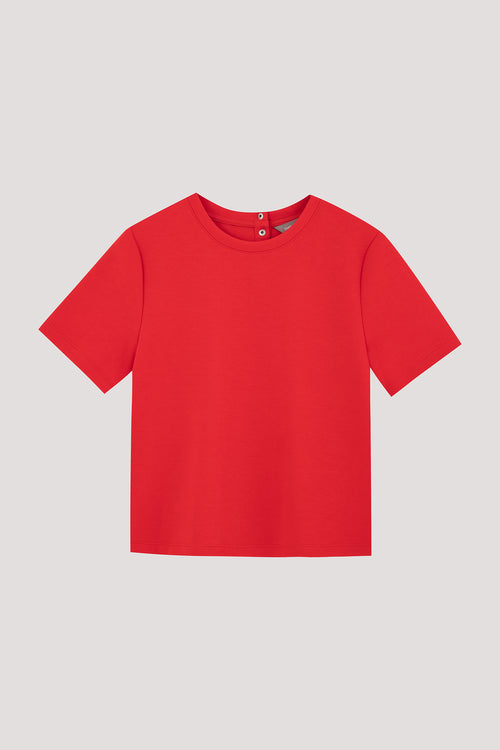 color:SCARLET