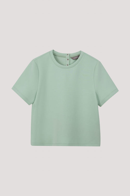 color:MINT