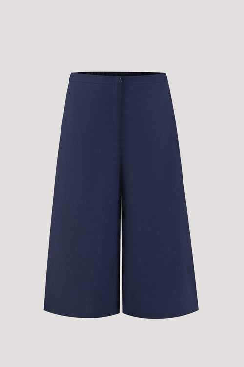 color:NAVY
