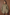 color:KHAKI