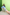 color:SKY BLUE