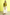 color:OCHRE