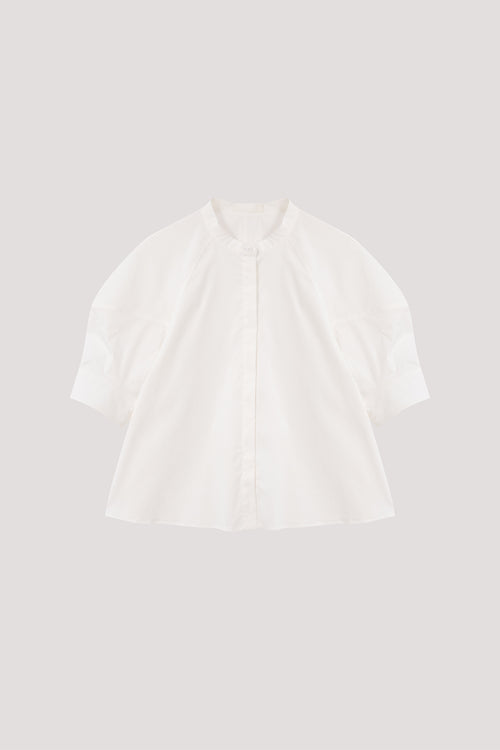 color:IVORY