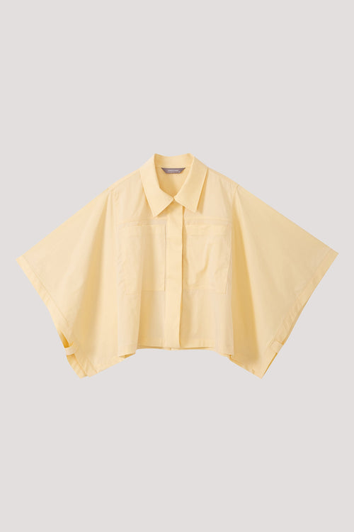 color:PALE YELLOW
