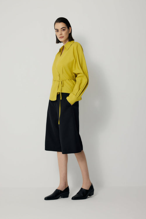 color:LEMON 2
