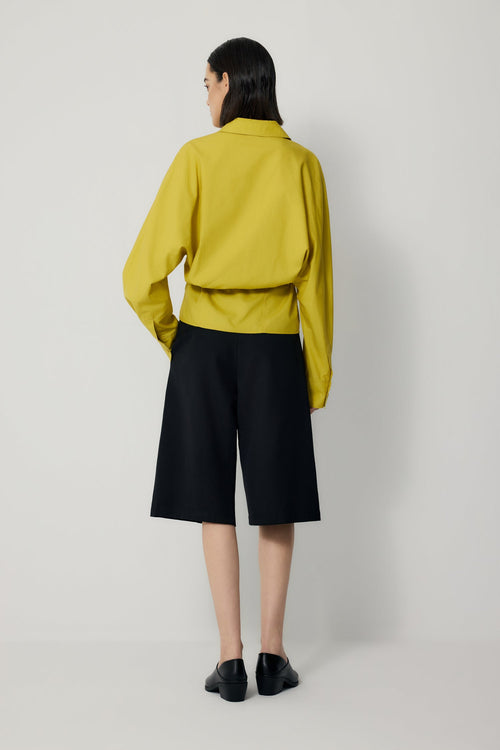 color:LEMON 2