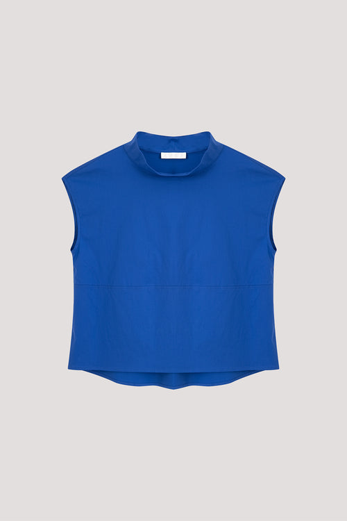 color:COBALT