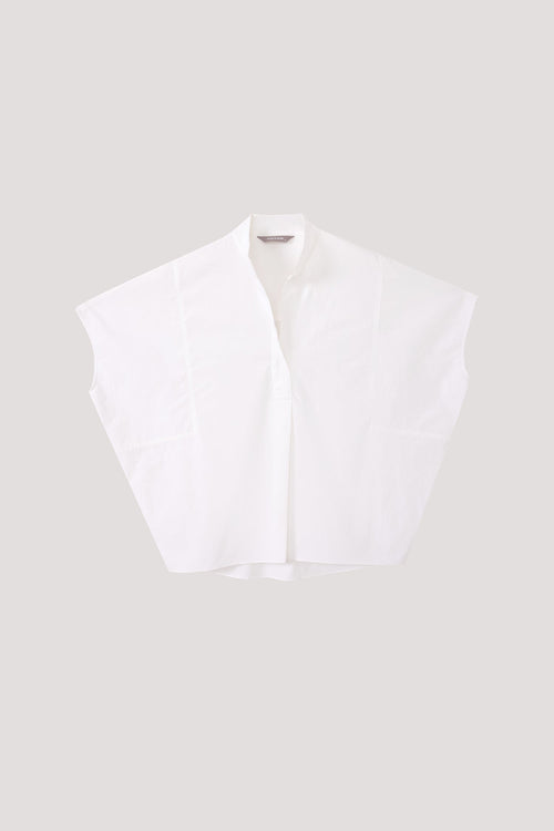 color:IVORY