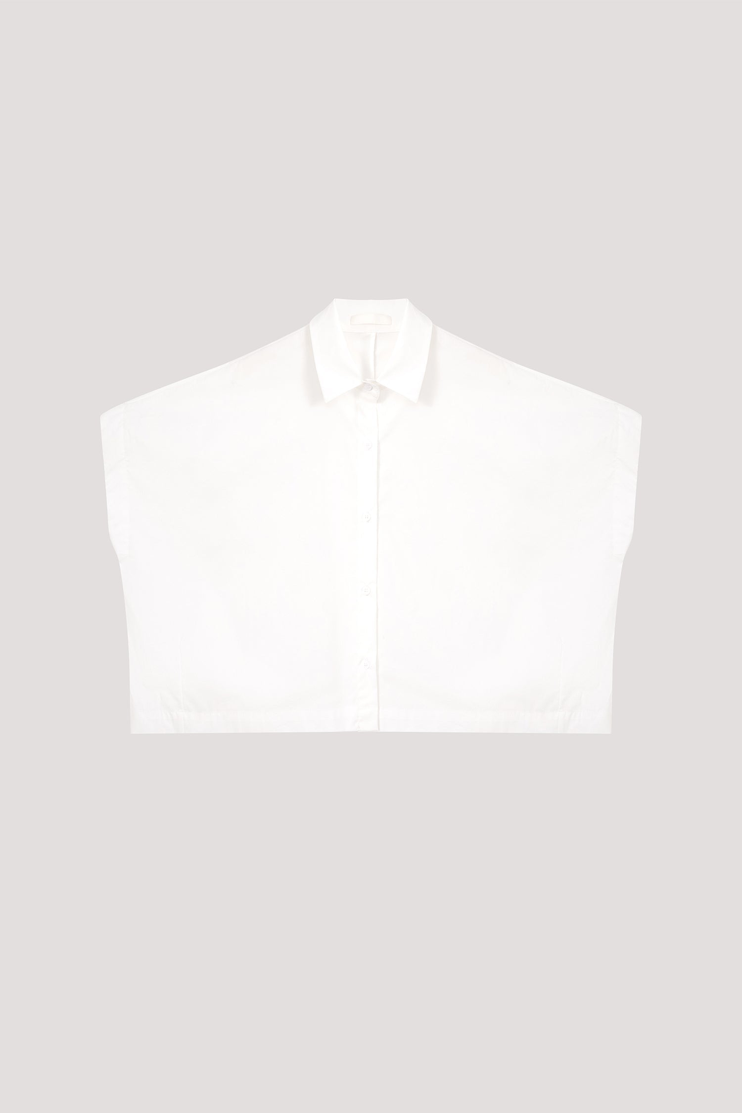 color:IVORY