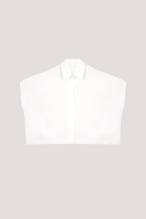 color:IVORY