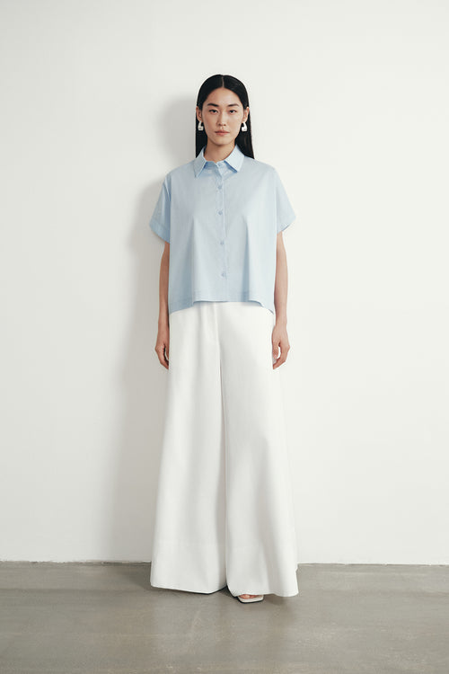 color:SKY BLUE