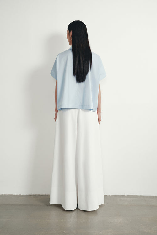 color:SKY BLUE