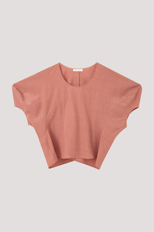 color:BLUSH