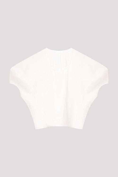 color:IVORY