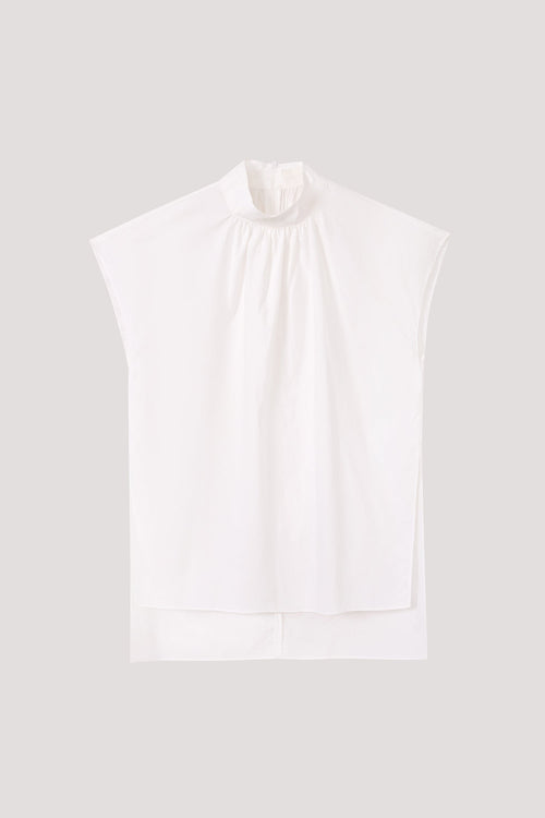 color:IVORY