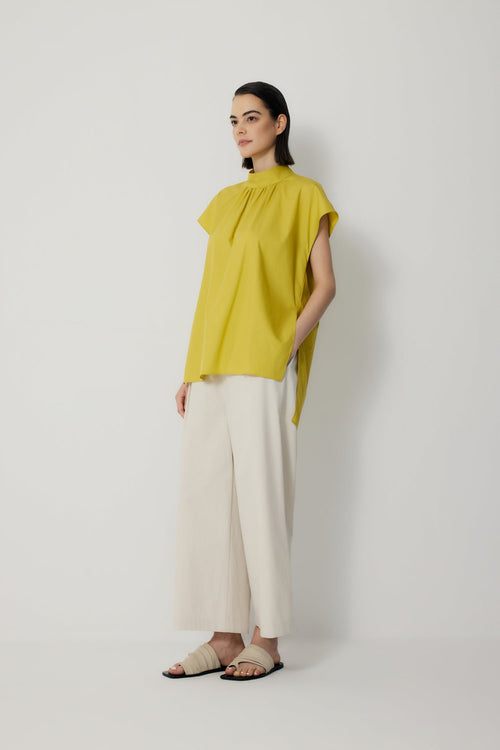 color:LEMON 2