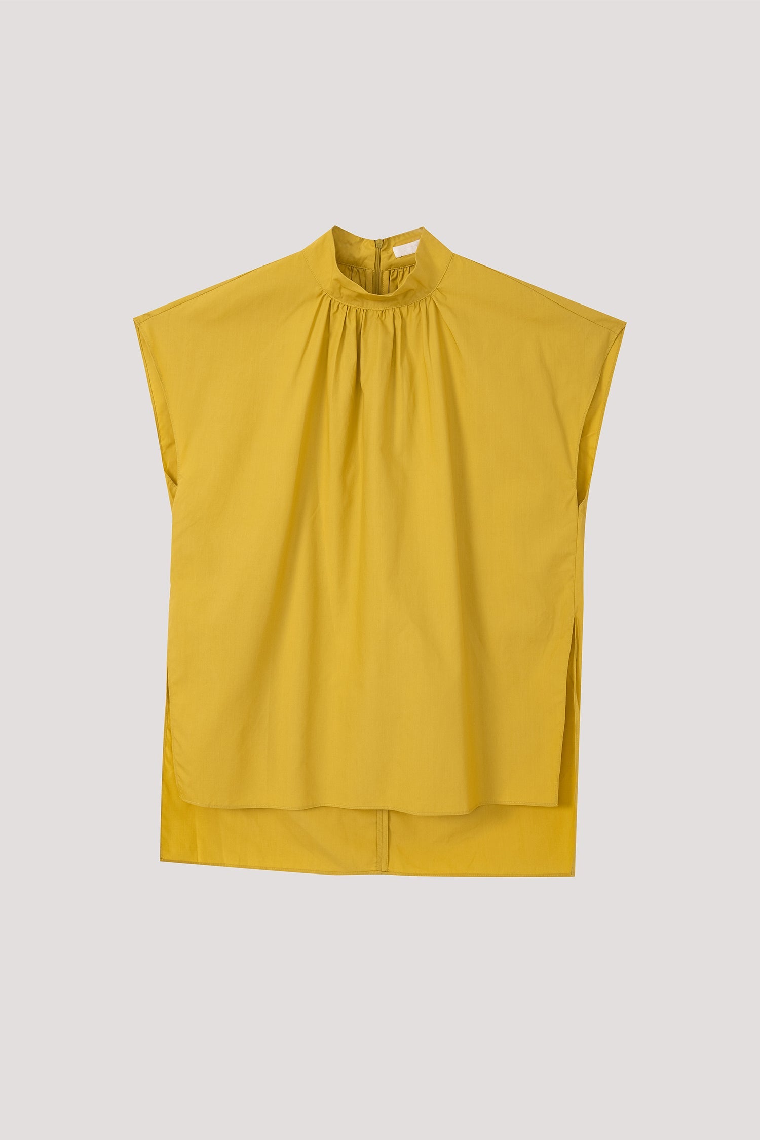 color:LEMON 2