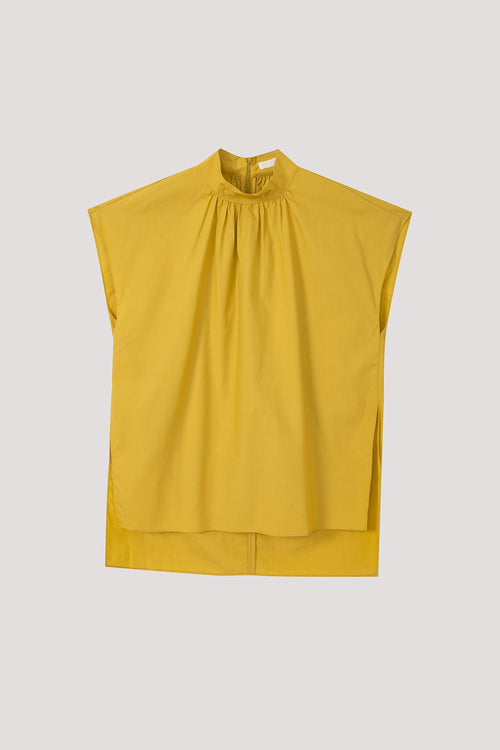 color:LEMON 2