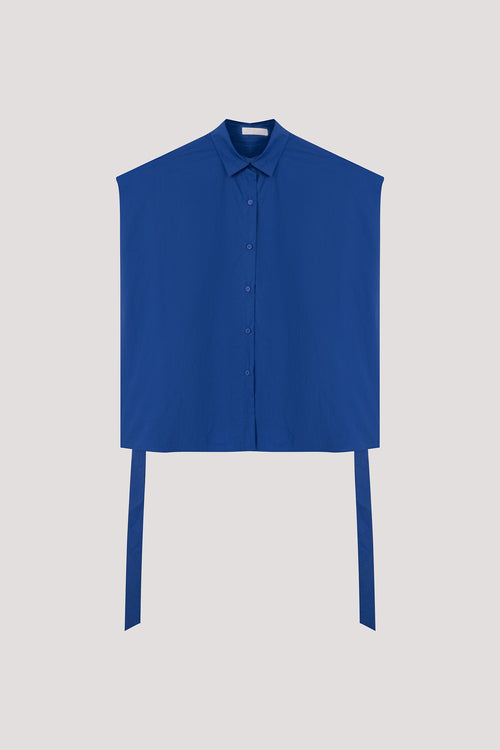 color:COBALT