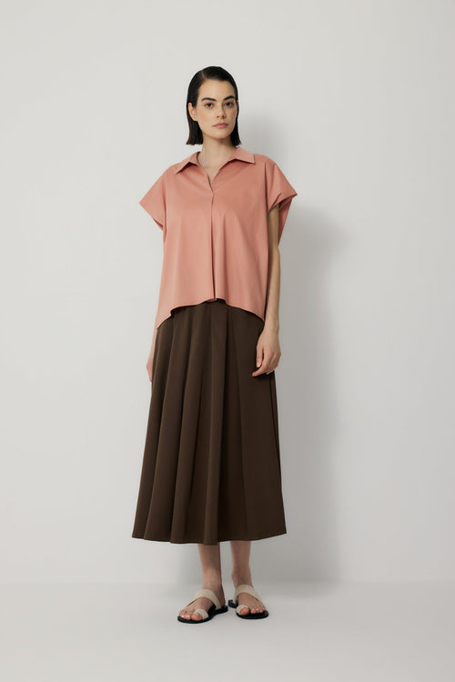 color:SALMON