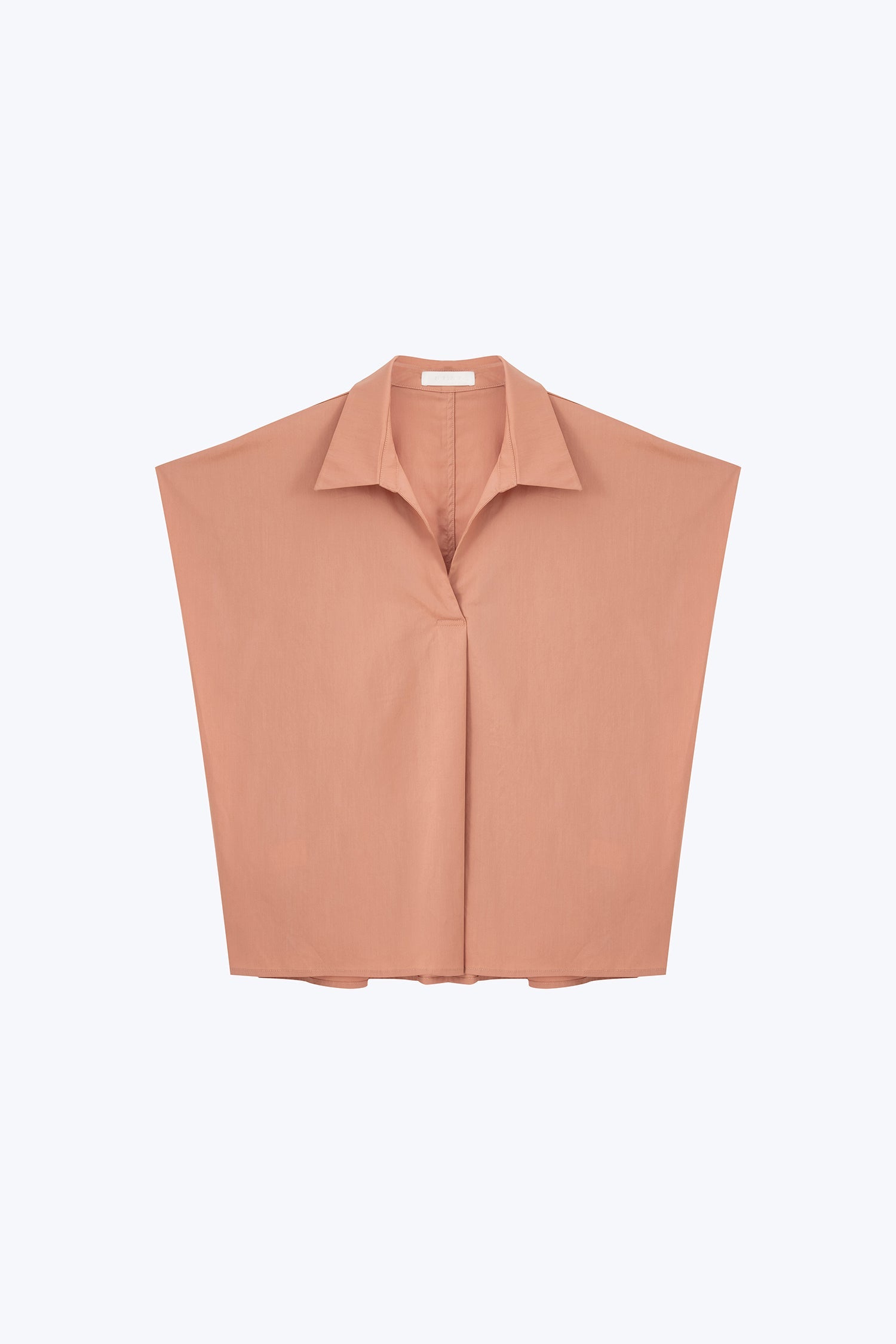 color:SALMON