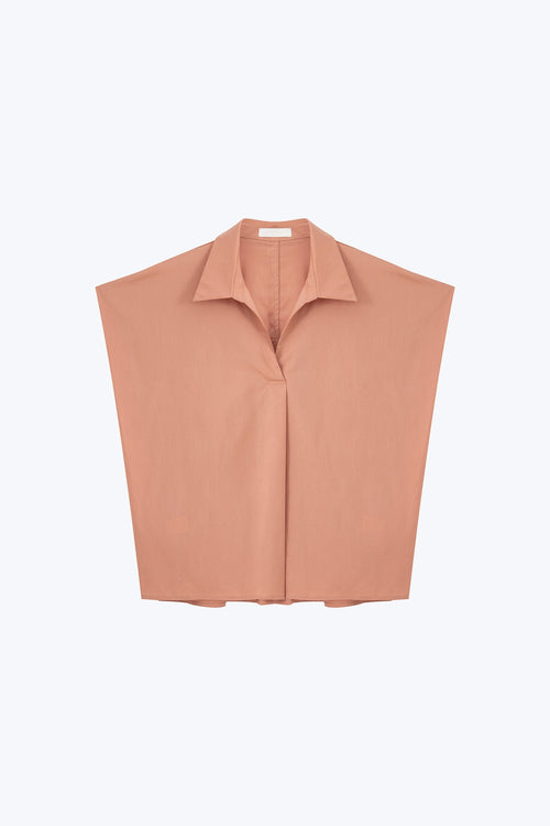color:SALMON