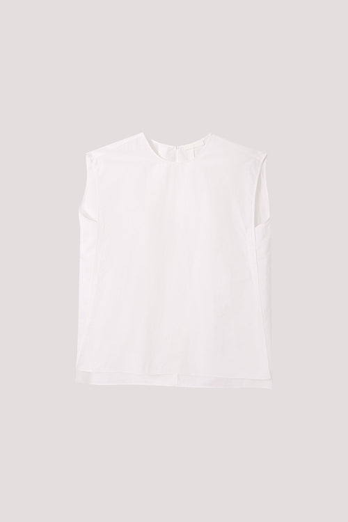 color:IVORY