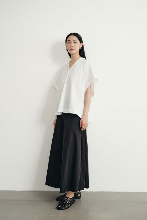 color:IVORY
