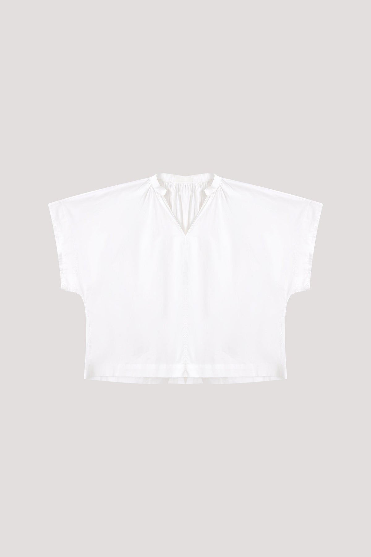 color:IVORY