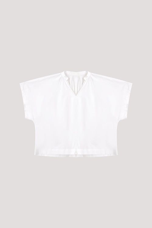 color:IVORY