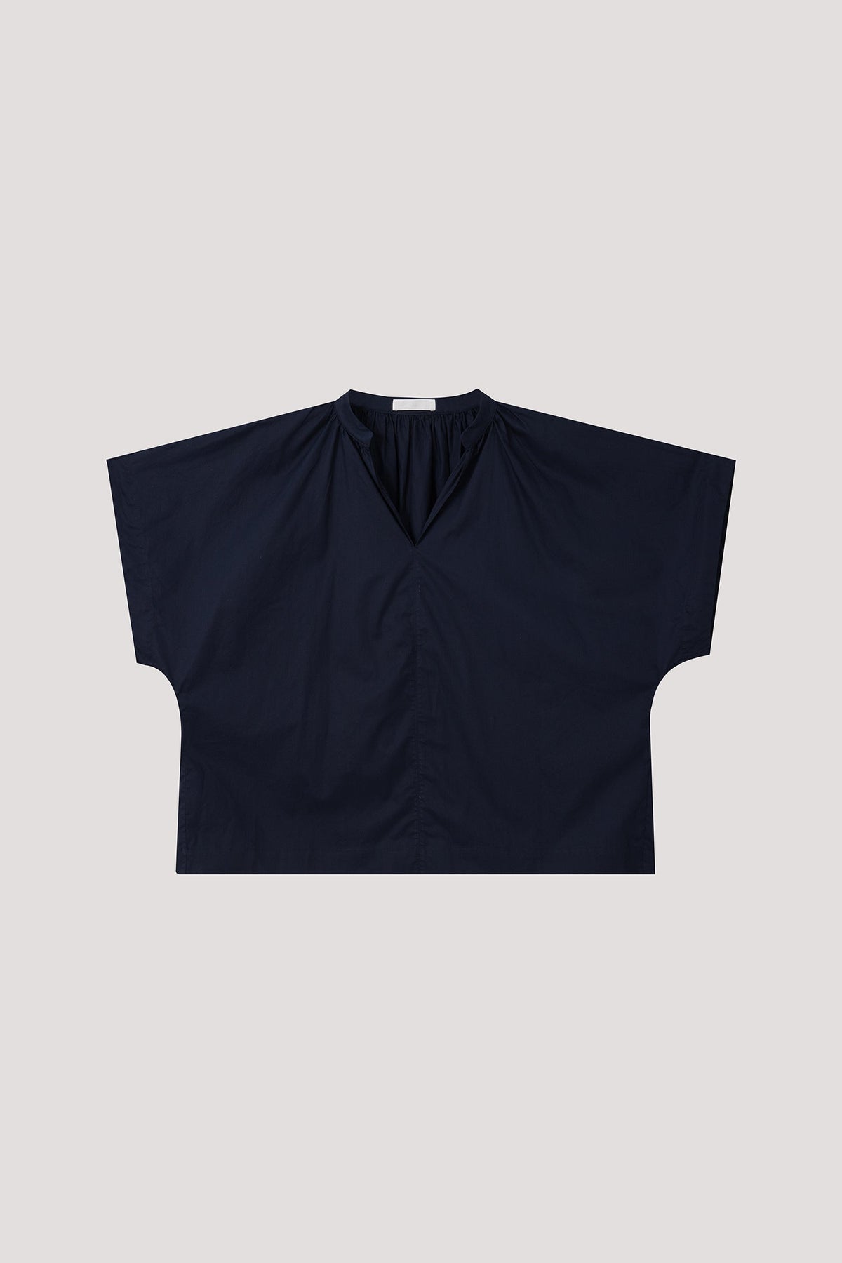 color:NAVY