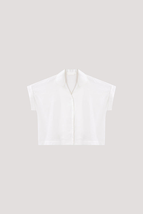 color:IVORY