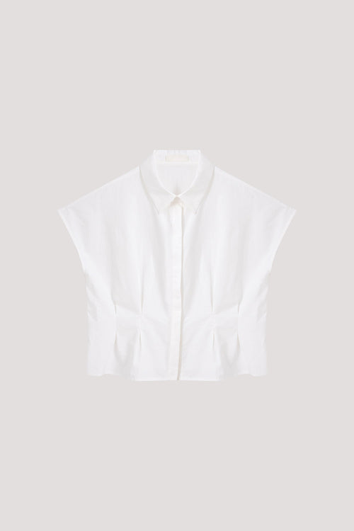 color:IVORY