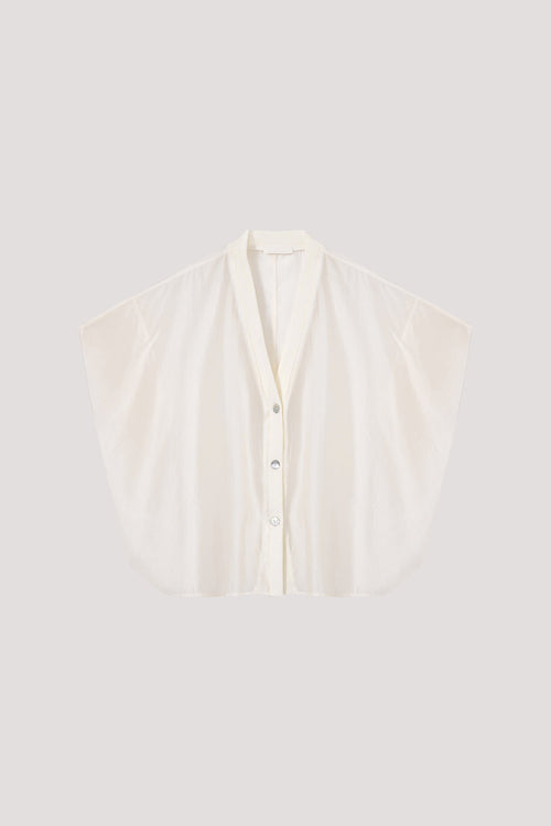 color:IVORY