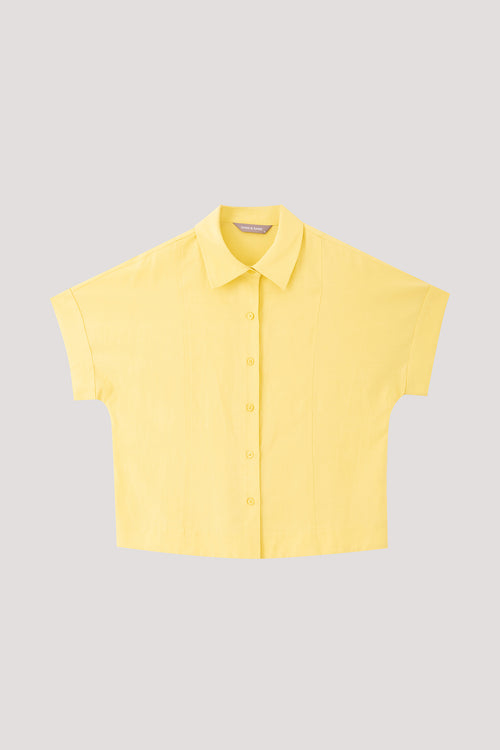 color:LIME