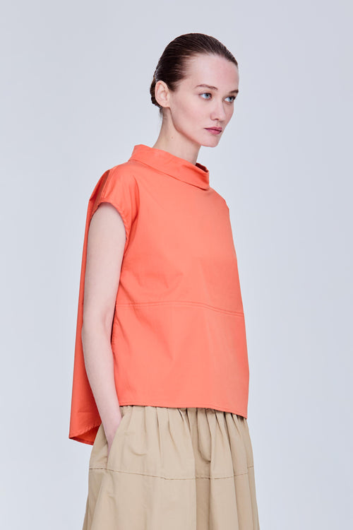 color:ORANGE