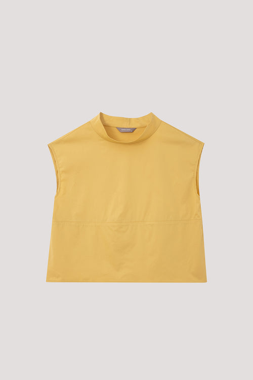 color:YELLOW