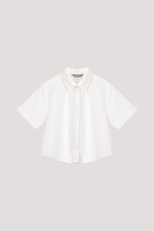 color:IVORY