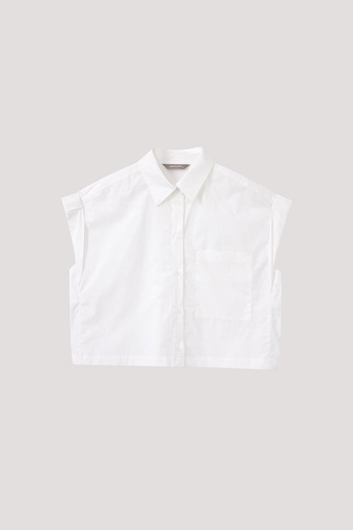 color:IVORY