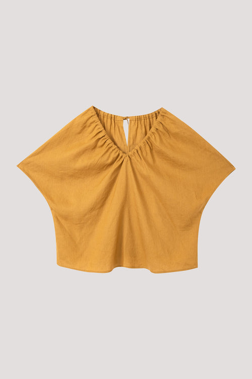color:OCHRE