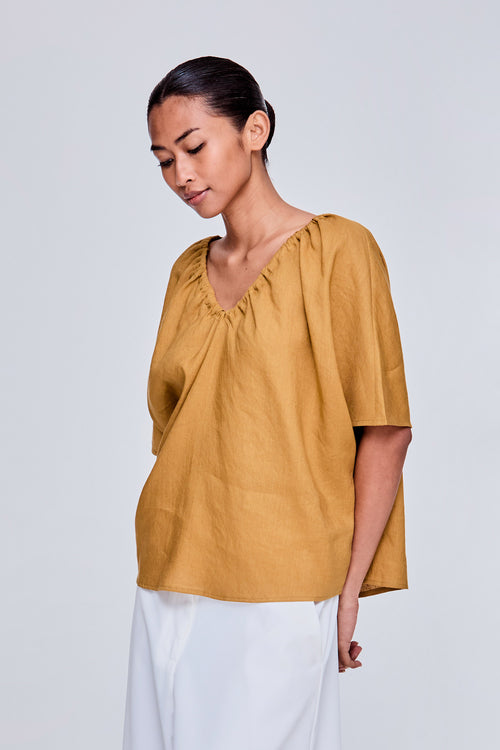 color:OCHRE