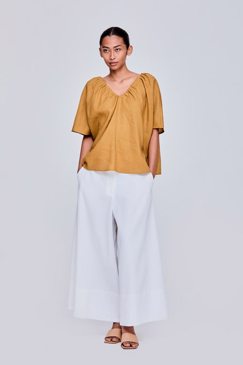 color:OCHRE