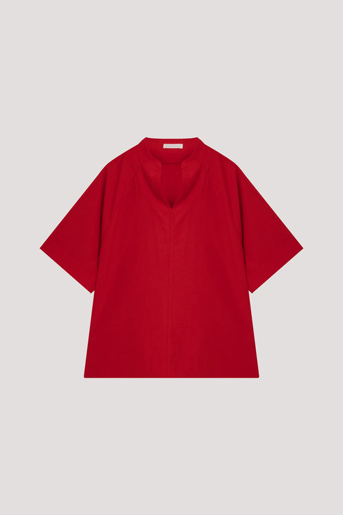 color:SCARLET