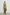 color:OLIVE 2