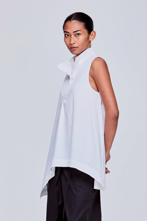 color:IVORY