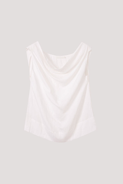 color:IVORY