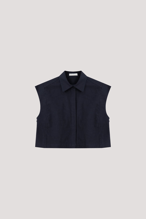 color:NAVY