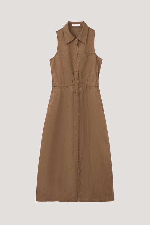 color:BROWN