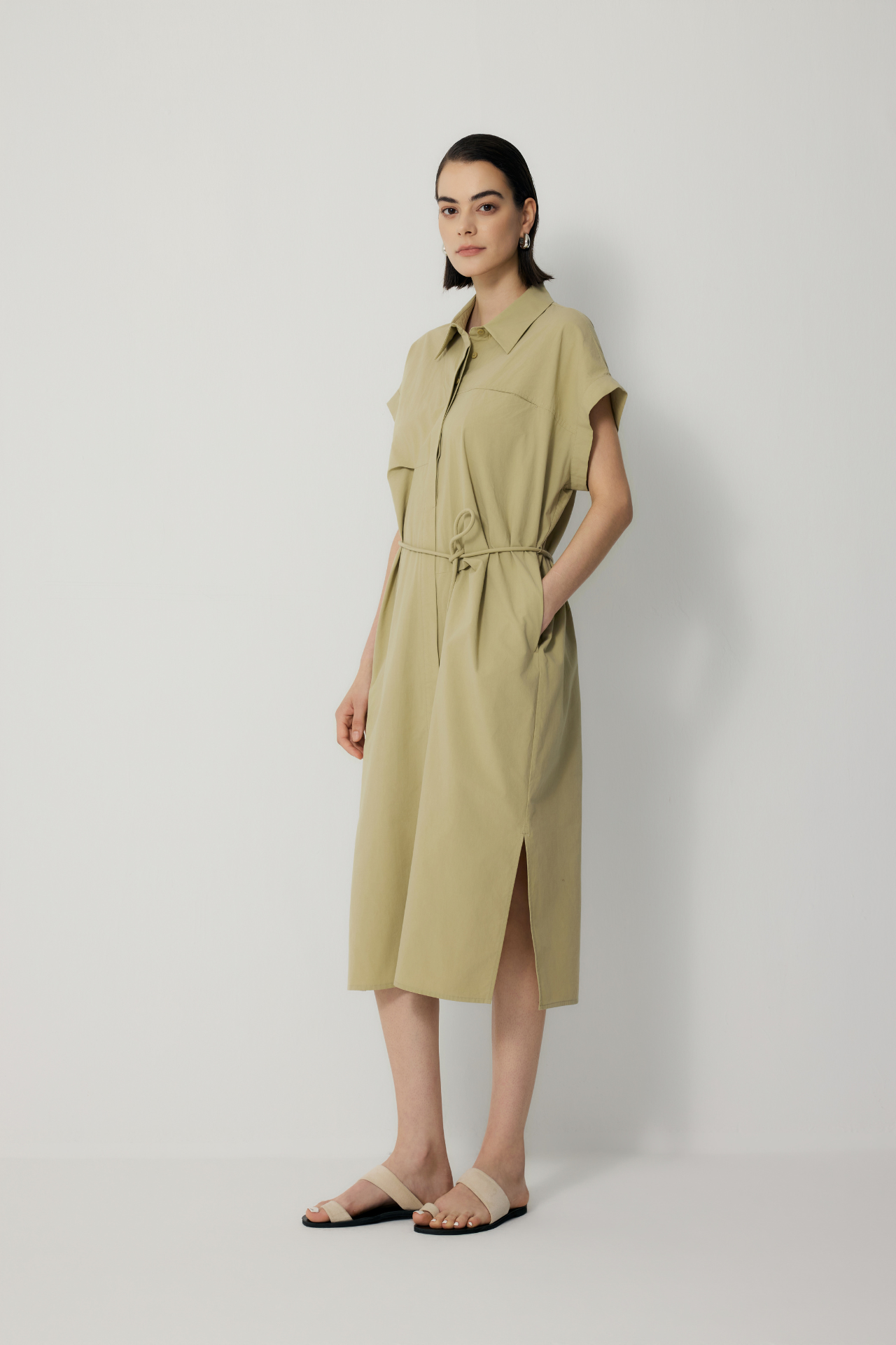 color:AVOCADO