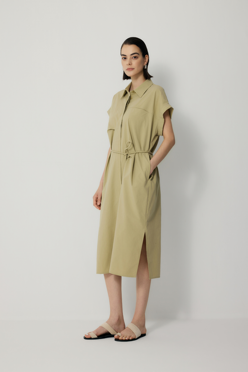 color:AVOCADO